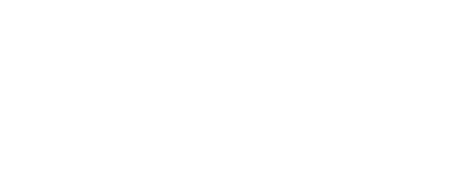فلودو Logo